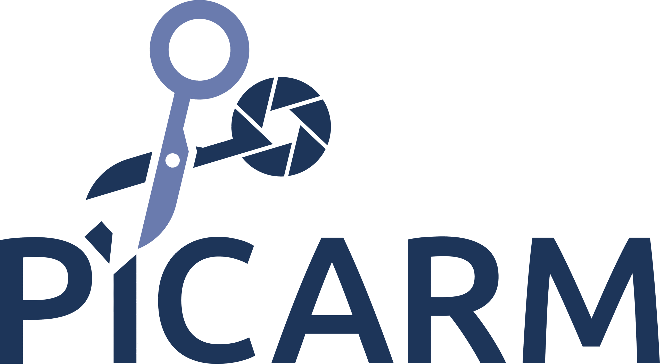Piicarm Logo
